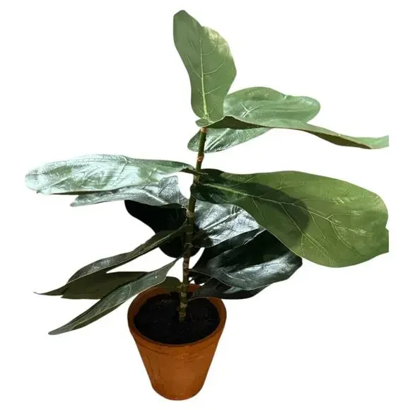 POTTERY BARN Small Faux Fiddle Leaf Fig Tree - Picture 1 of 9
